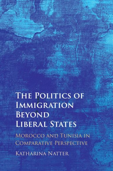 bokomslag The Politics of Immigration Beyond Liberal States