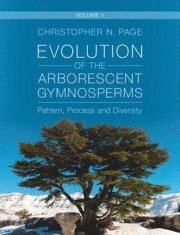 bokomslag Evolution of the Arborescent Gymnosperms: Volume 1, Northern Hemisphere Focus