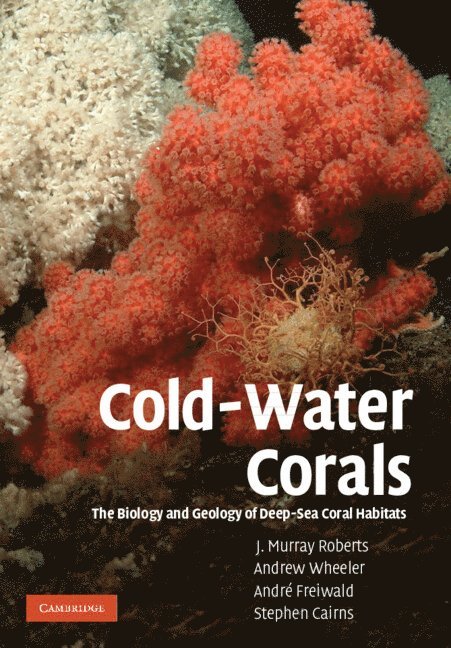 Cold-Water Corals 1