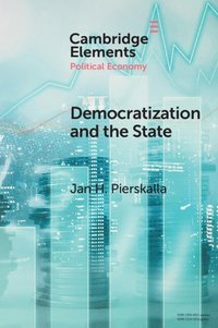 bokomslag Democratization and the State