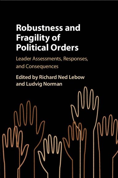 bokomslag Robustness and Fragility of Political Orders