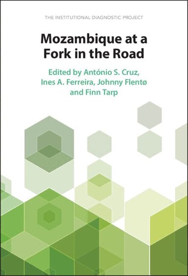 António S. Cruz, Ines A. Ferreira, Johnny Flentø, Finn Tarp - Mozambique at a Fork in the Road, Inbunden