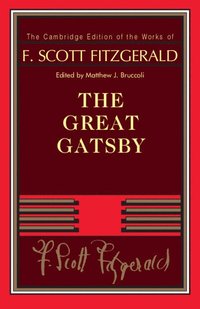 bokomslag F. Scott Fitzgerald: The Great Gatsby