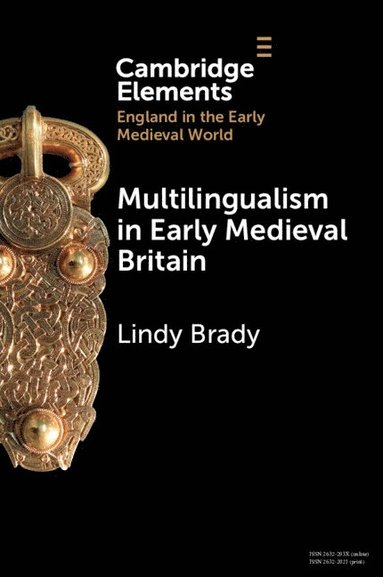 bokomslag Multilingualism in Early Medieval Britain