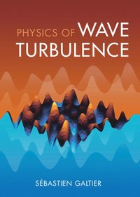 bokomslag Physics of Wave Turbulence