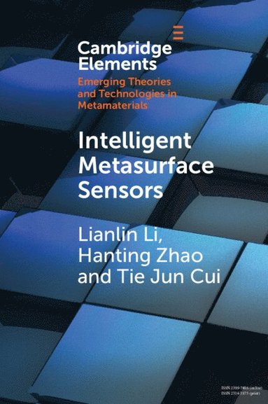 bokomslag Intelligent Metasurface Sensors