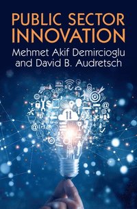 bokomslag Public Sector Innovation