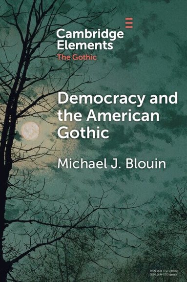 Michael J. Blouin - Democracy and the American Gothic, Häftad