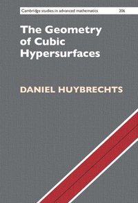 bokomslag The Geometry of Cubic Hypersurfaces