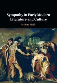 bokomslag Sympathy in Early Modern Literature and Culture