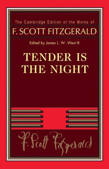 bokomslag Tender Is the Night