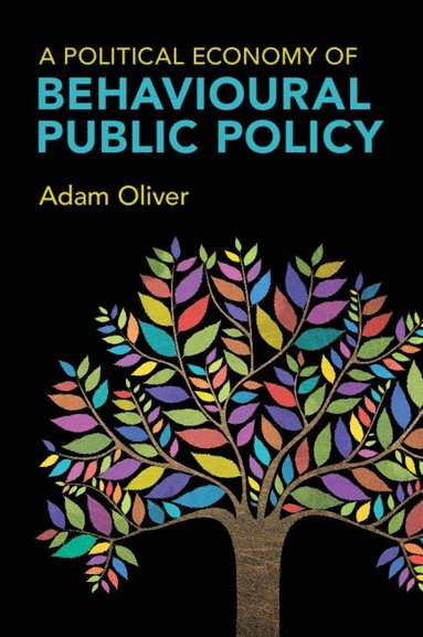 bokomslag Political Economy of Behavioural Public Policy