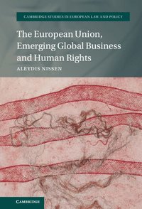 bokomslag The European Union, Emerging Global Business and Human Rights