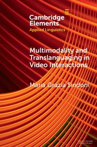 bokomslag Multimodality and Translanguaging in Video Interactions