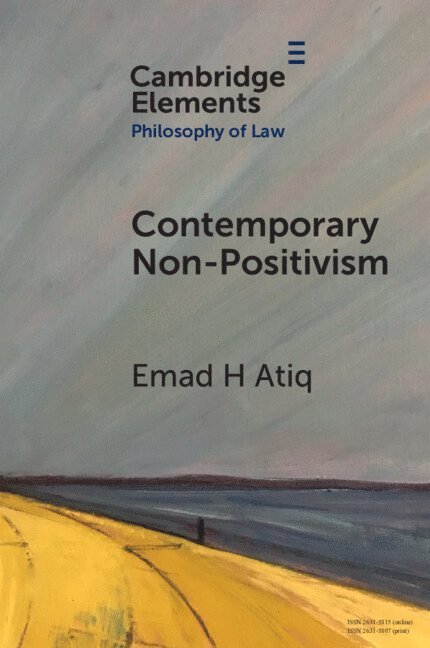 Emad H. Atiq, Emad H. (Cornell University) Atiq, Emad H Atiq - Contemporary Non-Positivism, Häftad