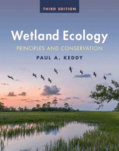 Paul A. Keddy - Wetland Ecology, Inbunden