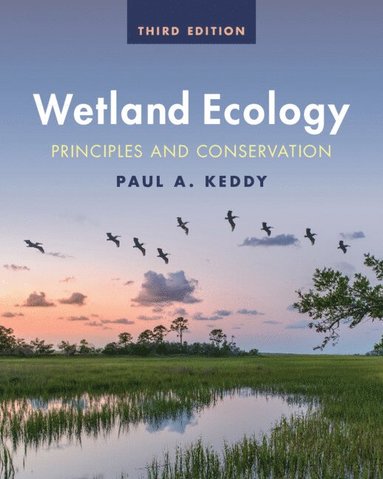 bokomslag Wetland Ecology
