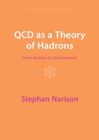 bokomslag QCD as a Theory of Hadrons