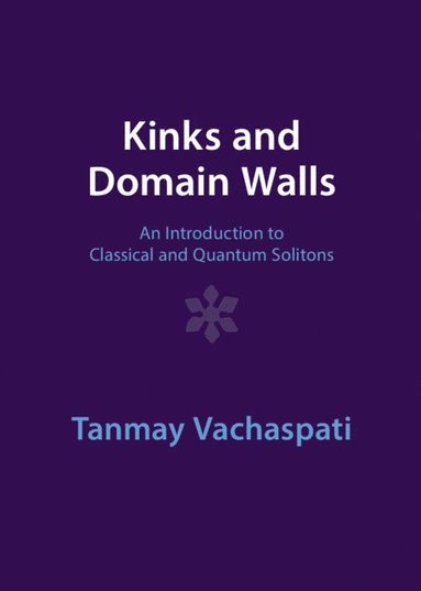 bokomslag Kinks and Domain Walls