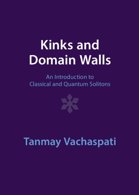 Kinks and Domain Walls 1