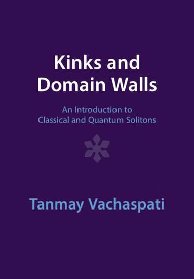 bokomslag Kinks and Domain Walls