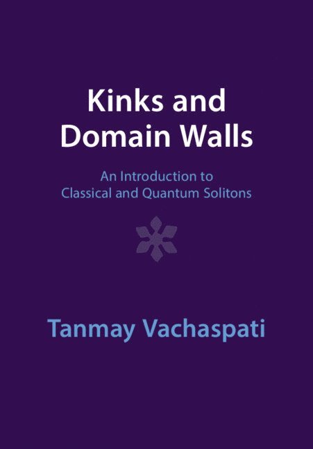 Kinks and Domain Walls 1