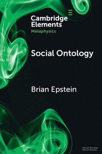 bokomslag Social Ontology