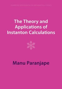 bokomslag The Theory and Applications of Instanton Calculations