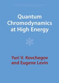 bokomslag Quantum Chromodynamics at High Energy