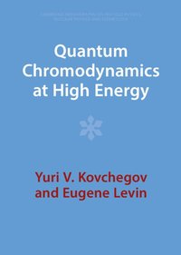 bokomslag Quantum Chromodynamics at High Energy