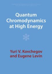 bokomslag Quantum Chromodynamics at High Energy