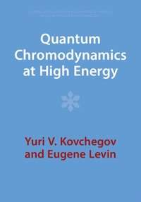 bokomslag Quantum Chromodynamics at High Energy