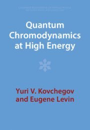 bokomslag Quantum Chromodynamics at High Energy