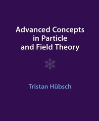 bokomslag Advanced Concepts in Particle and Field Theory