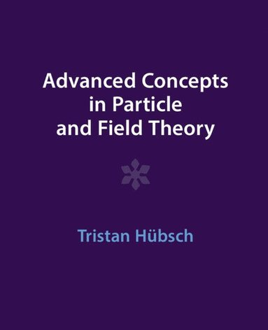 bokomslag Advanced Concepts in Particle and Field Theory