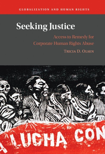 Tricia D. Olsen, Tricia D. (University of Minnesota) Olsen, Tricia D Olsen - Seeking Justice, Inbunden
