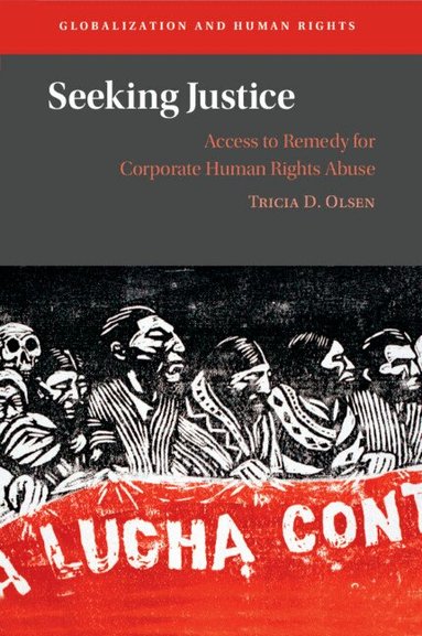 Tricia D. Olsen - Seeking Justice, Häftad