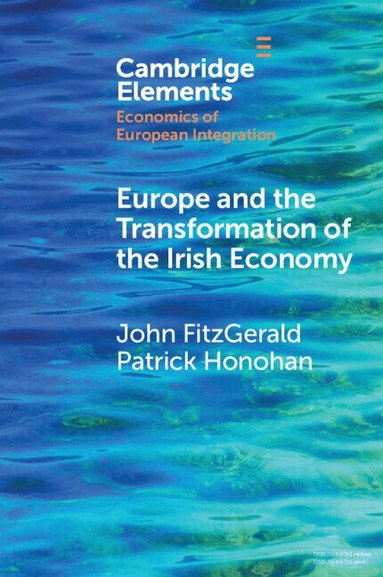 John FitzGerald, Patrick Honohan - Europe and the Transformation of the Irish Economy, Häftad