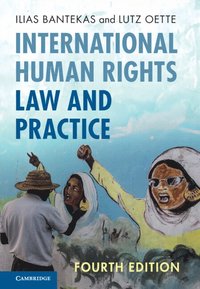 bokomslag International Human Rights Law and Practice