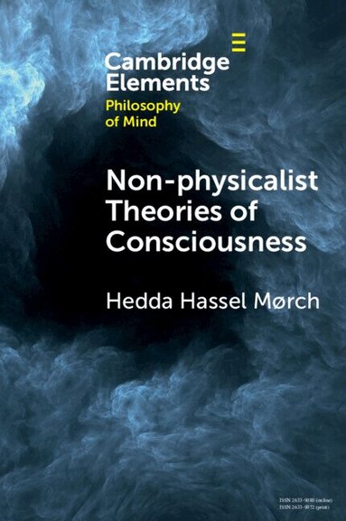 Hedda Hassel Mørch - Non-physicalist Theories of Consciousness, Häftad