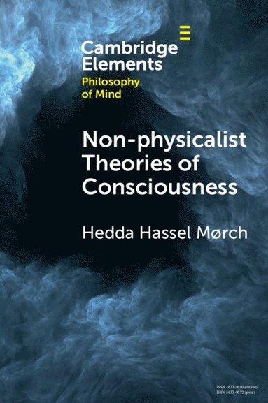 bokomslag Non-physicalist Theories of Consciousness