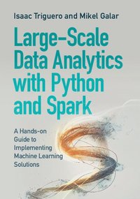 bokomslag Large-Scale Data Analytics with Python and Spark