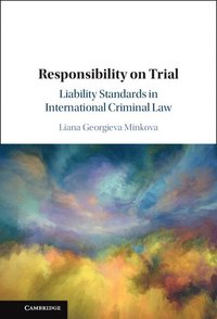 bokomslag Responsibility on Trial