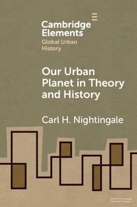bokomslag Our Urban Planet in Theory and History