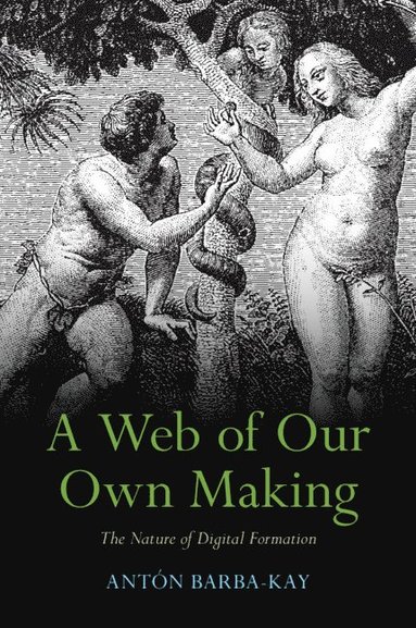 bokomslag Web of Our Own Making