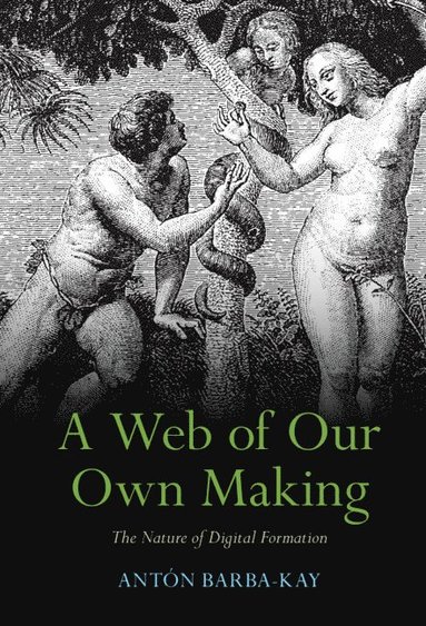 bokomslag Web of Our Own Making