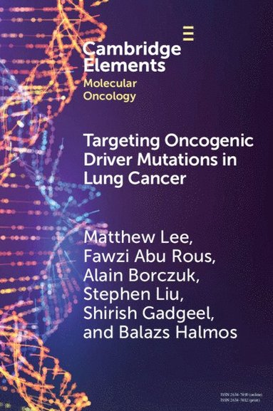 bokomslag Targeting Oncogenic Driver Mutations in Lung Cancer