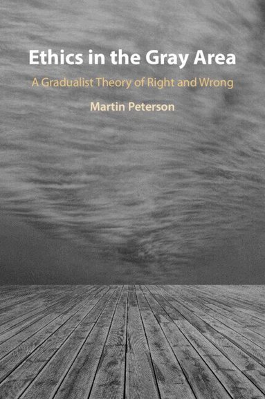 Martin Peterson - Ethics in the Gray Area, Häftad