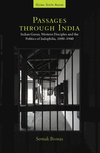 bokomslag Passages through India