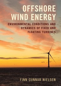 bokomslag Offshore Wind Energy